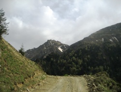 Of-Çaykara-Bayburt-Erzincan Demiryolu