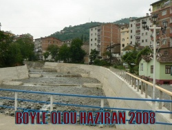 Organik Çay Piyasaya çıkıyor