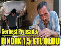 Serbest Piyasada Fındık 1,5 Ytl