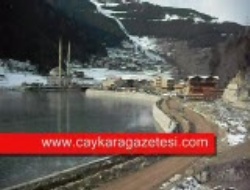 Uzungöl’de Duvara İnekli Tepki(videolu)
