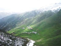 Kardeş Acısına Dayanamadı