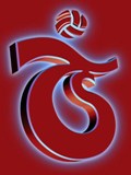Hem TS Hem AKP Yönetim Kurulunda 2
