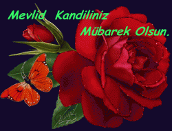Mevlid Kandiliniz Mübarek Olsun