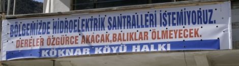 Köknar ve Karaçam'da Hes Tepkisi 2 Köknar ve Karaçam'da Hes Tepkisi 2