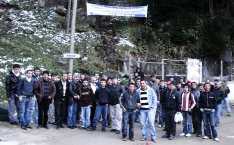 Köknar ve Karaçam'da Hes Tepkisi 3