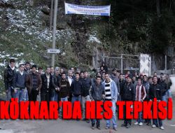 Köknar ve Karaçam’da Hes Tepkisi