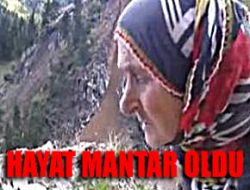Uzuntarlalıların Hes İsyanı