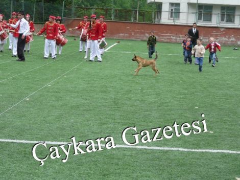 19 Mayıs Kutlandı 17 19 Mayıs Kutlandı 17