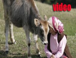 Doğam ve Kültürüm Yoksa Ben de Yokum