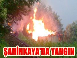 Şahinkaya’da Yangın