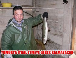 Yumurtadan Sofraya Her Tür Balık Yetiştiriyorlar