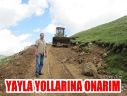 Yayla Yolları Onarılıyor