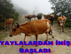 Yaylalardan İniş Başladı
