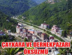 Çaykara ve Dernekpazarı İlçeleri Öksüz mü?