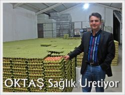 Doğal Yumurta Üretiyorlar