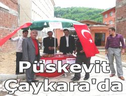 Püskevit Çaykara’da