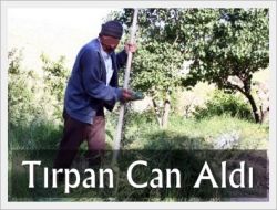 Tırpanın Kestiği Toprak Kurtarılamadı