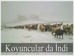 Kış Geldi Demektir