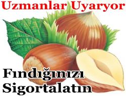 Fındığınızı Sıgortalatın