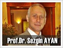 Sezgin Ayan Profesör Oldu