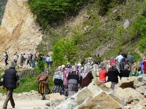 Karaçam ve Köknarlı'lar Kararlı HES'e Geçit Yok 5