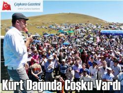 Kurt Dağında Coşku Vardı