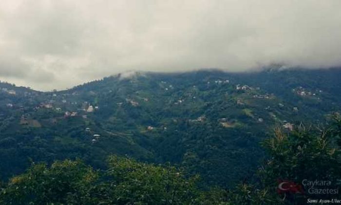 Ulucami (Köyü) Mahallesi