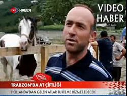 TRT Çaykara’daki At Çiftliğini Haber Yaptı