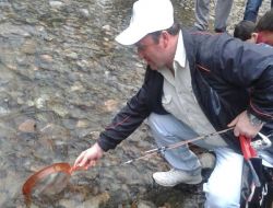 Uzungöl’e 50.000 Alabalık Bırakıldı