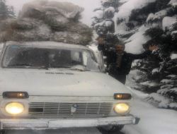 Yaylaya Ot Servisi