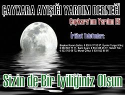 Ayışı Derneği Mali Tablosunu Açıkladı