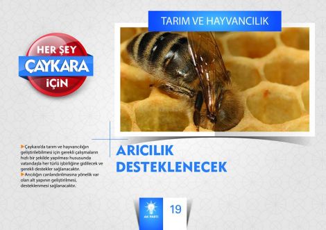Hanefi Tok Projelerini Açıkladı 19 Hanefi Tok Projelerini Açıkladı 19