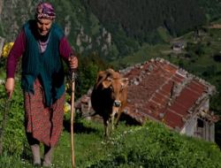 Şimdi Yayla Zamanı