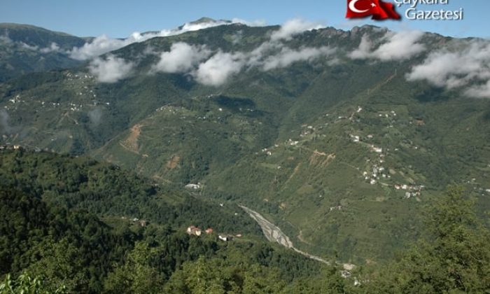Şahinkaya (Köyü) Mahallesi