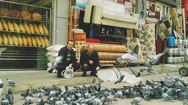 Çaykara’da güvercin sessizliği