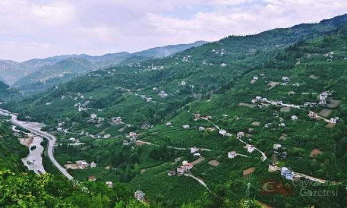 Koldere (Köyü) Mahallesi.