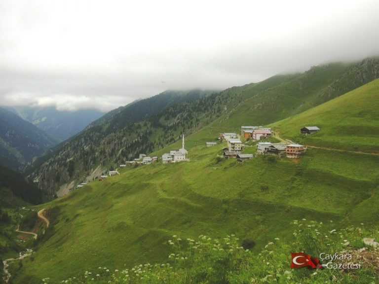 Arpaözü (Köyü) Mahallesi