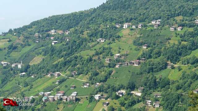 Baltacılı Mahallesinden Elif Şahin vefat etti