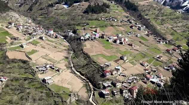 Köknar’dan Safinaz Şimşek vefat etti