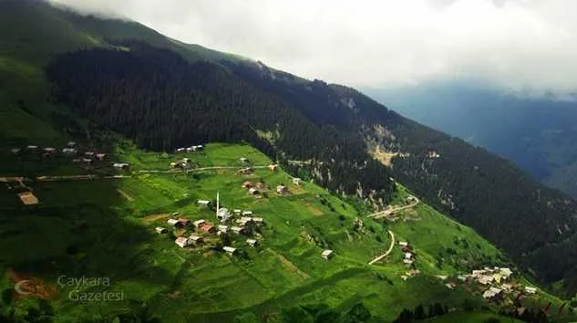 Yaylaönü (Köyü) Mahallesi