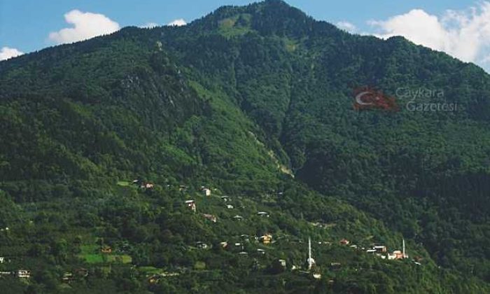 Yukarı Kumlu (Köyü) Mahallesi