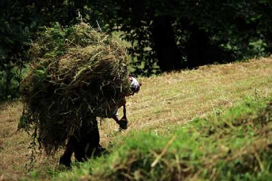 Anamdan Duyduklarım… Osman Şahin