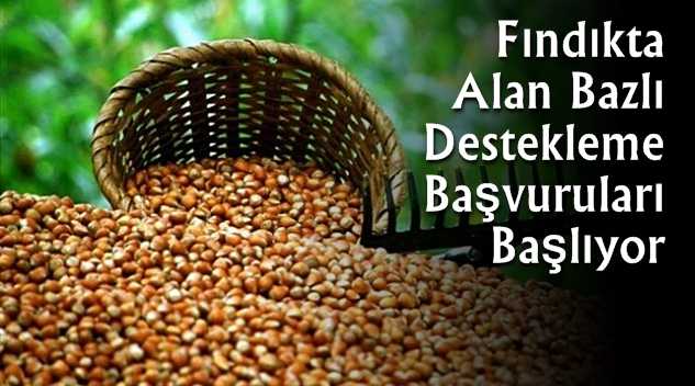 Fındıkta destek dekar başına 170 Lira olarak açıklandı