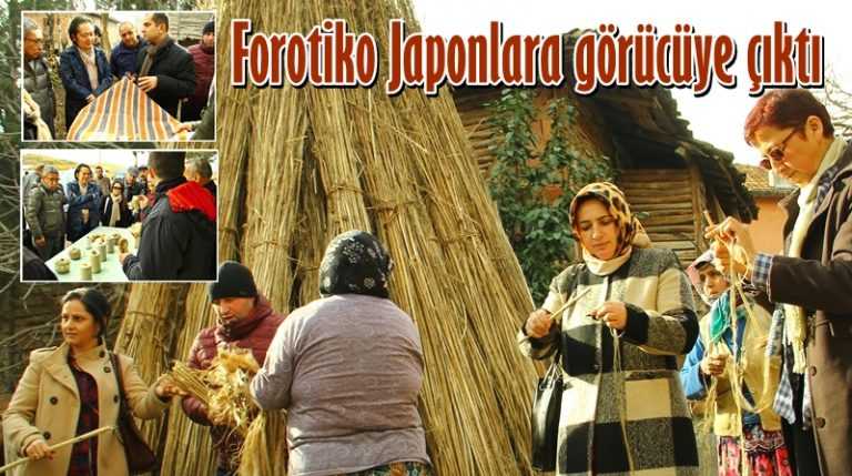 FOROTİKO Japon MUJİ firmasına görücüye çıktı