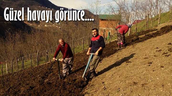 Erken bahar tarlaları belletiyor