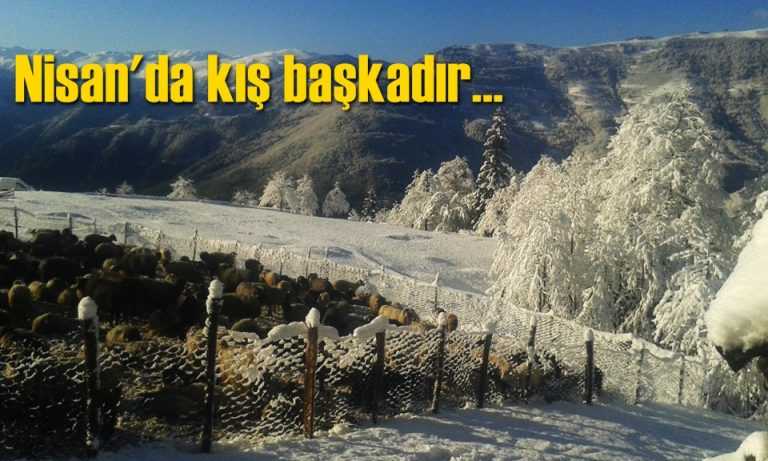 Çaykara’da Nisan sonu kar baskını