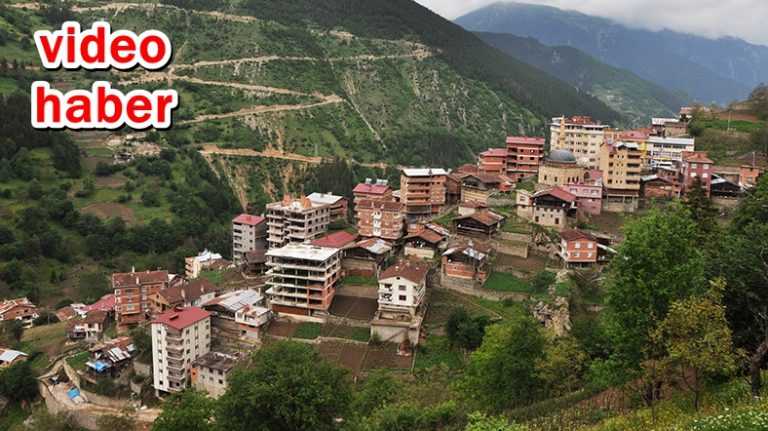 Hızla betonlaşıyoruz ama başka çare de yok gibi!