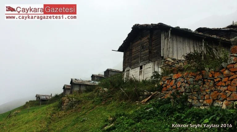 Şeyhi Yaylası