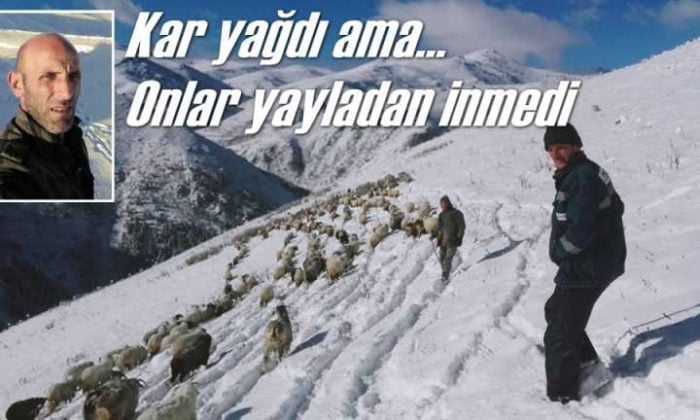 Kar koyuncuları indiremedi