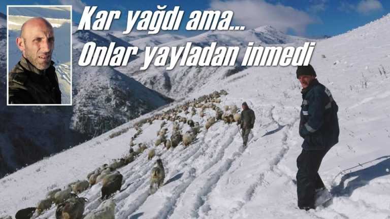 Kar koyuncuları indiremedi